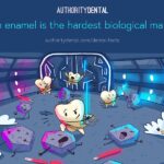 strengthen enamel, the hardest material in the body